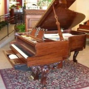 Apollo Player Grand Piano